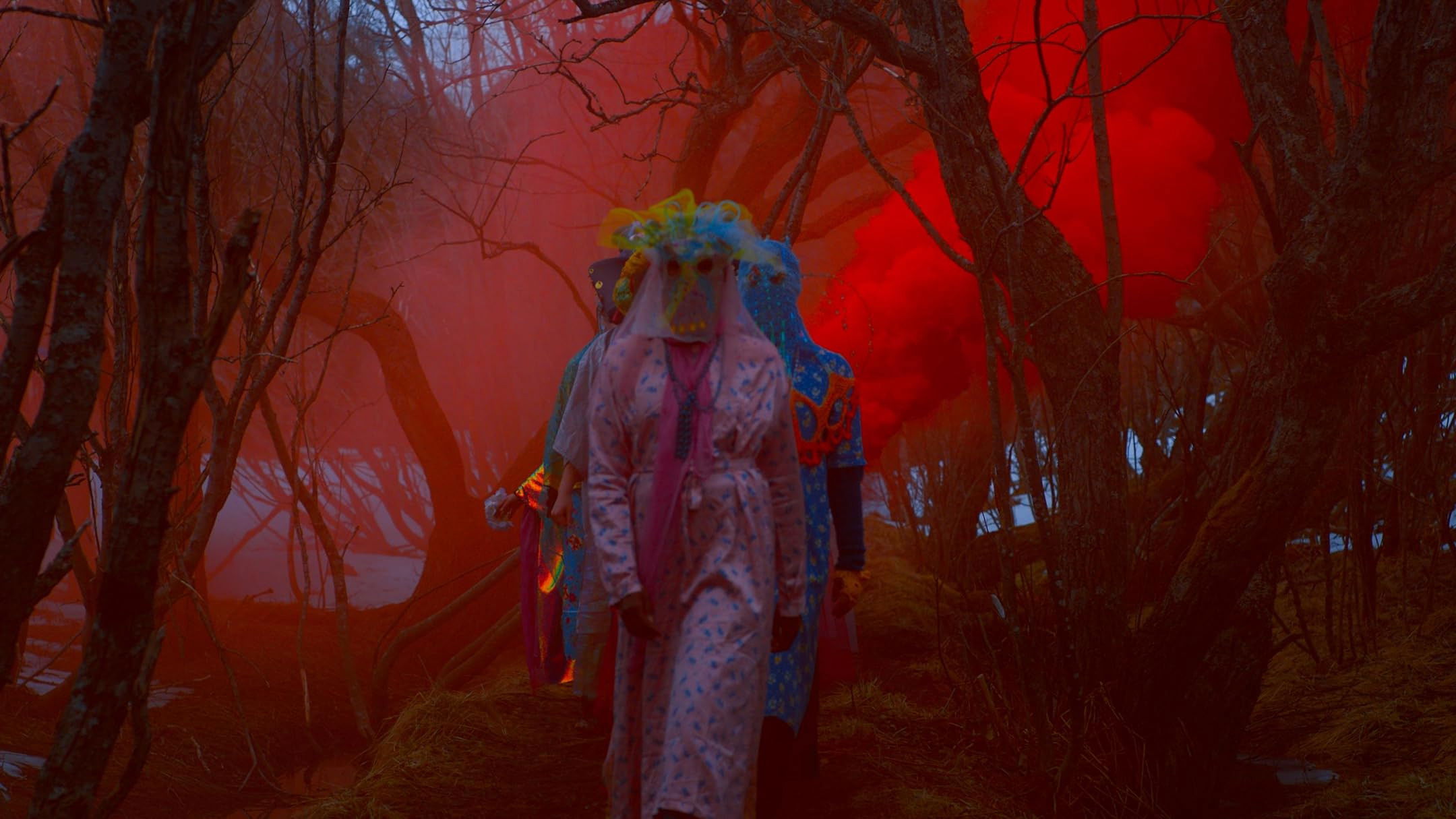 Backdrop for Sister, What Grows Where Land Is Sick?