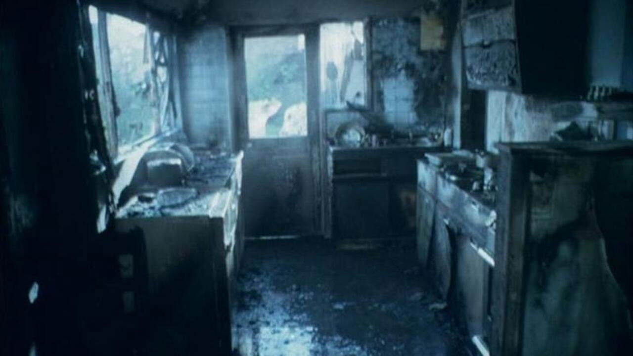 Backdrop for Searching