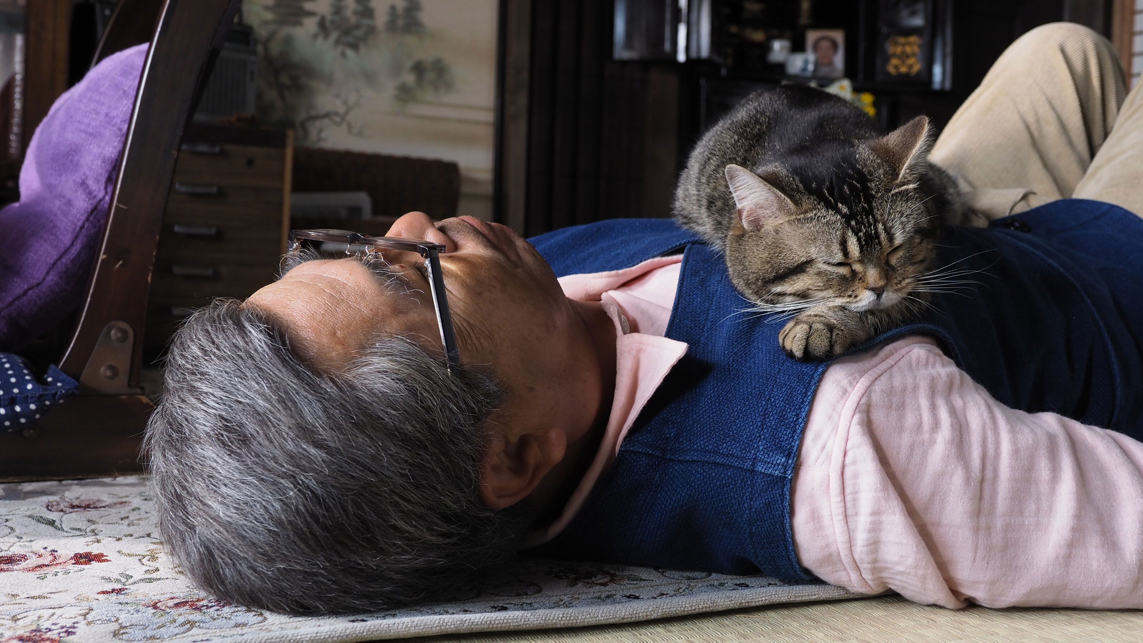 Backdrop for The Island of Cats