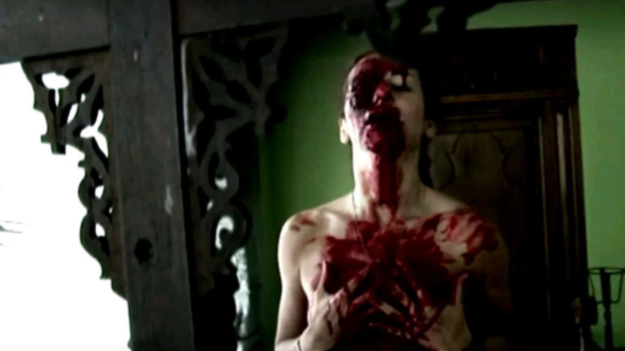 Backdrop for Suffering Bible