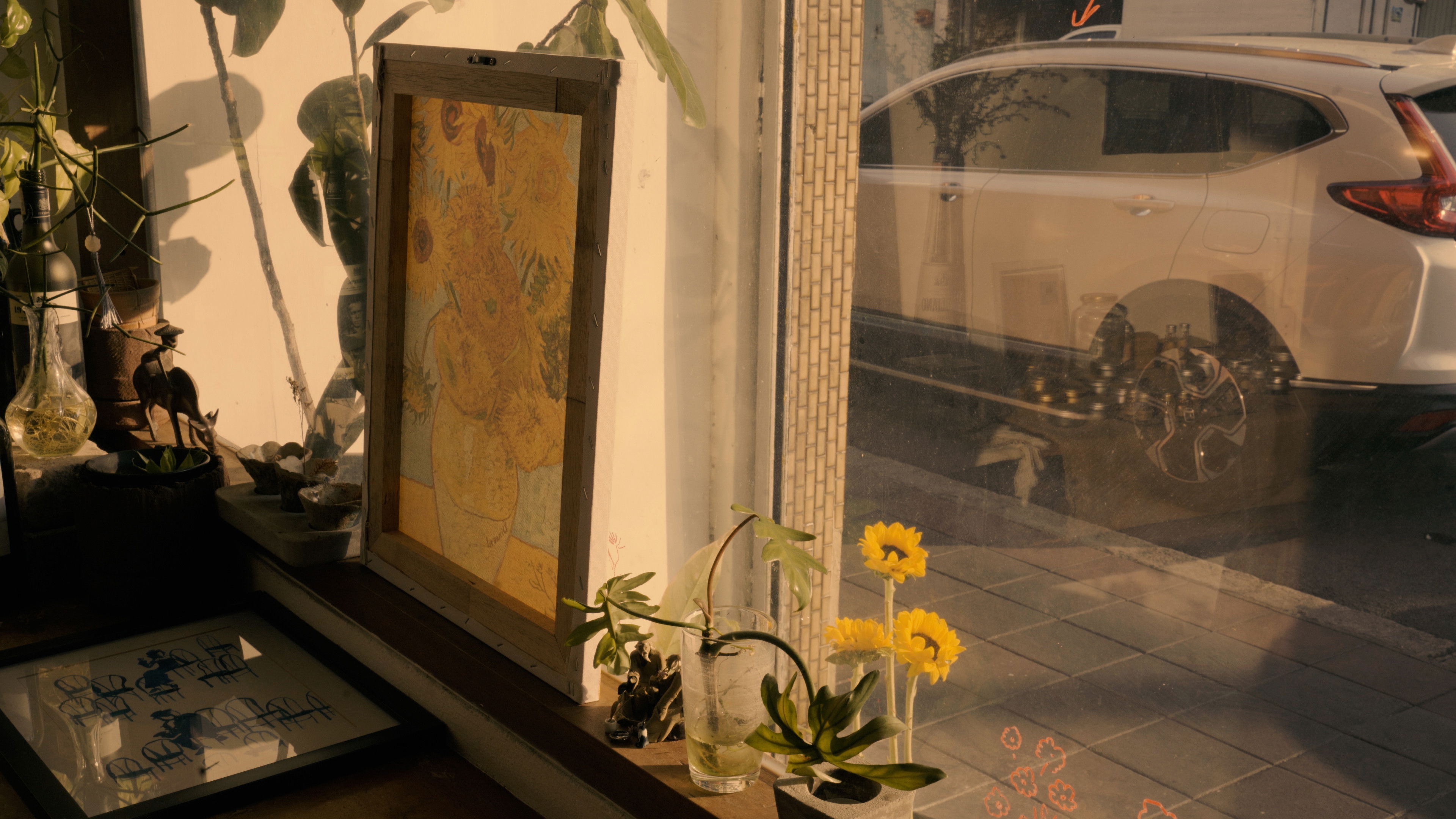 Backdrop for Window Flowers