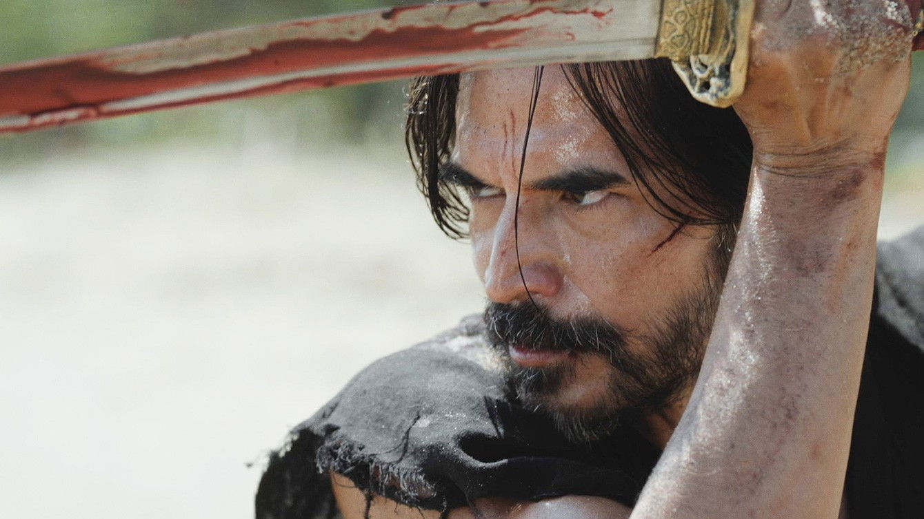 Backdrop for Lone Samurai