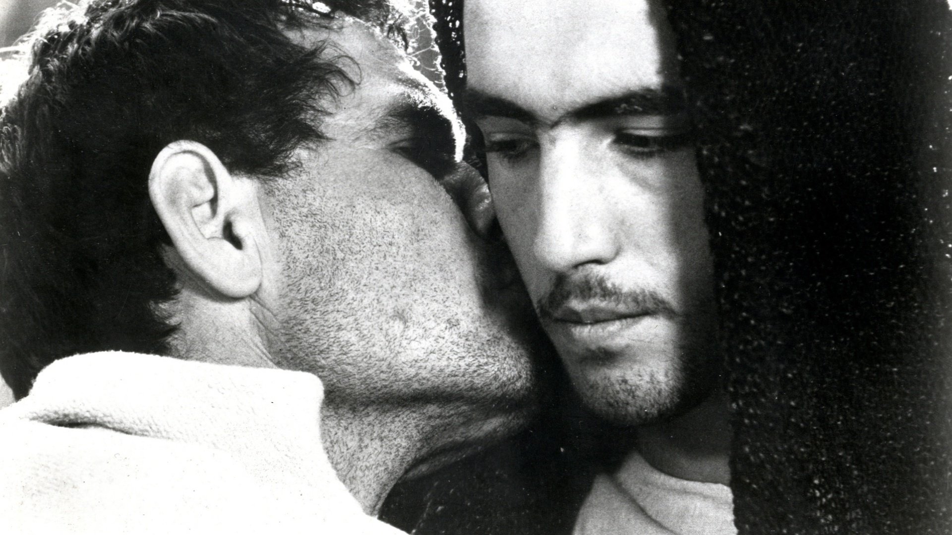 Backdrop for The Gospel According to St. Matthew