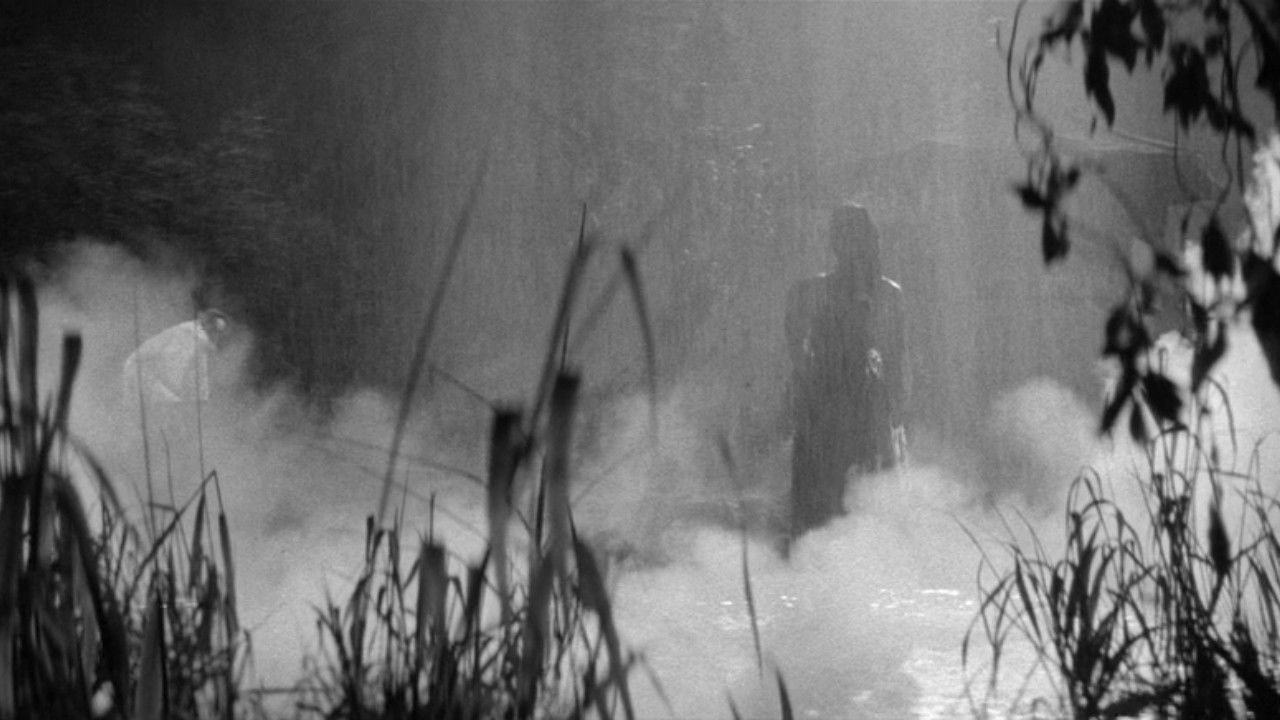 Backdrop for Bakeneko: A Vengeful Spirit