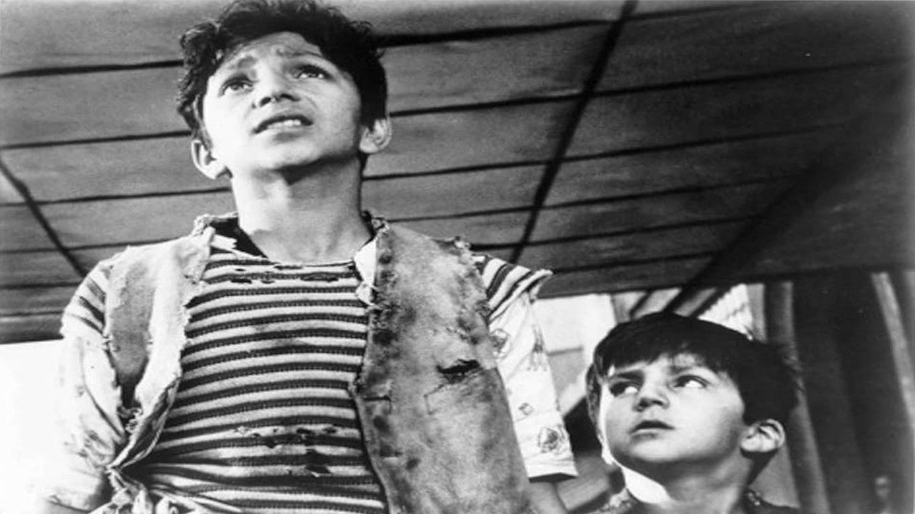 Backdrop for The Road of Life