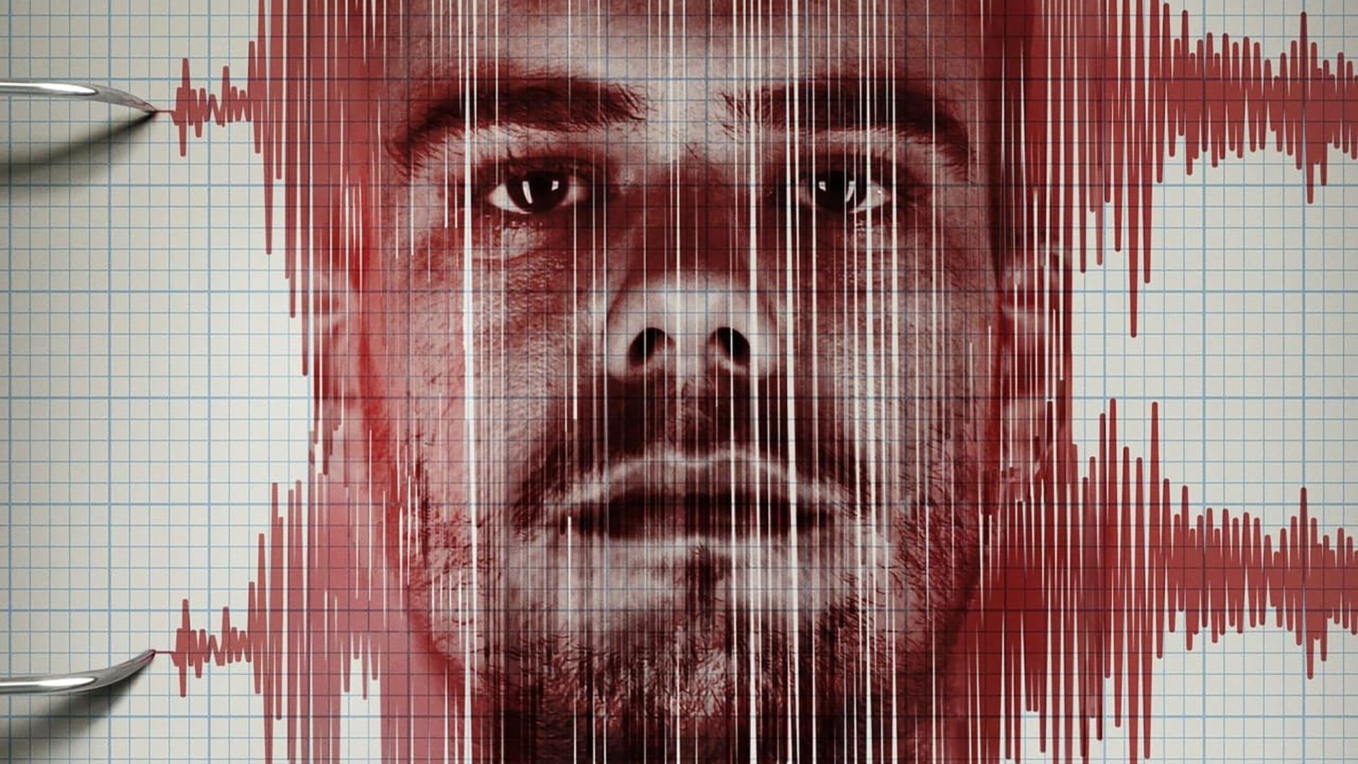 Backdrop for Pathological: The Lies of Joran van der Sloot