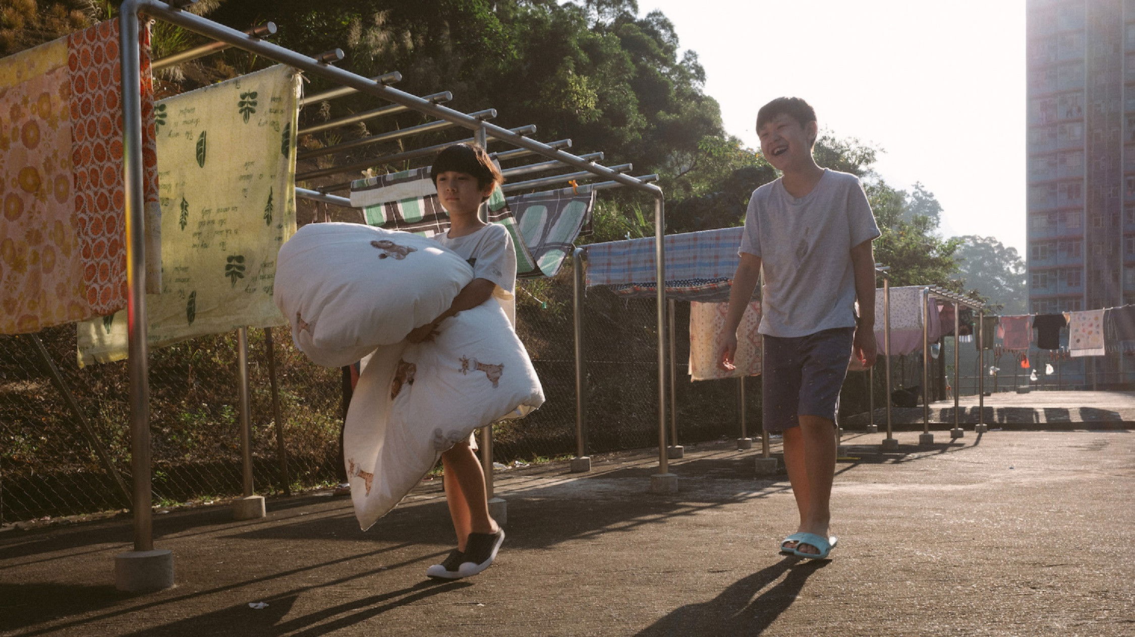 Backdrop for Holiday