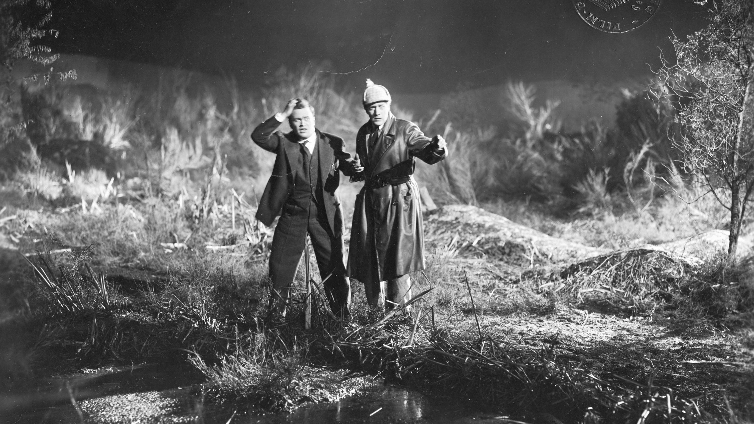 Backdrop for The Hound of the Baskervilles