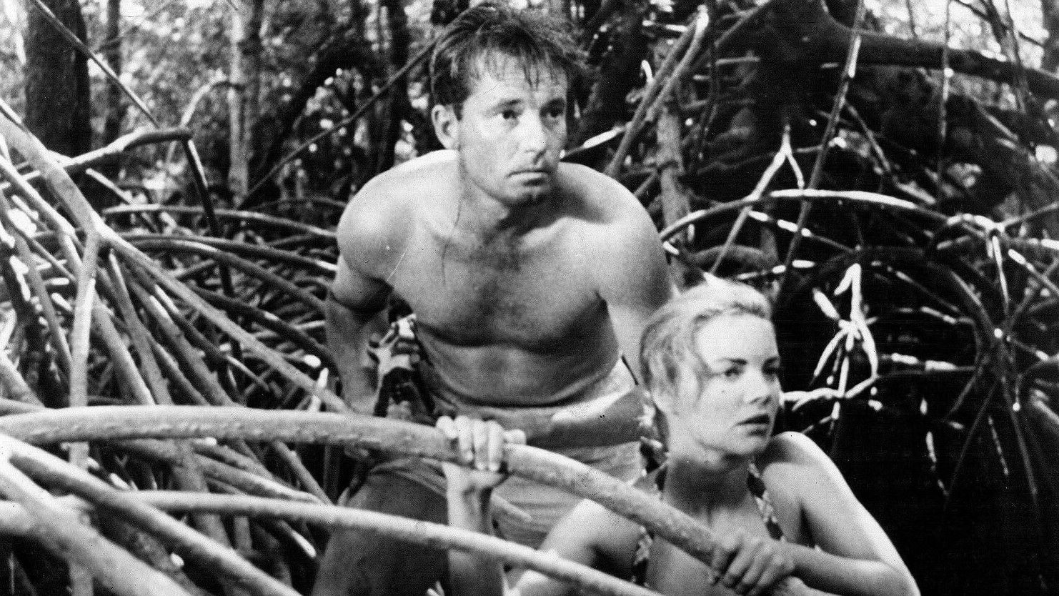 Backdrop for King of the Coral Sea