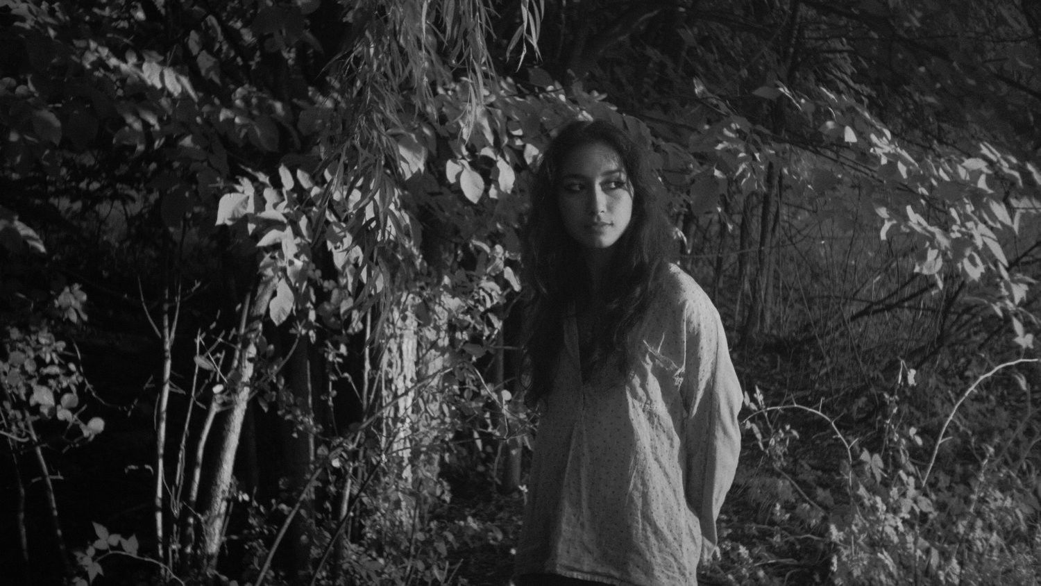 Backdrop for Journal de la sentinelle