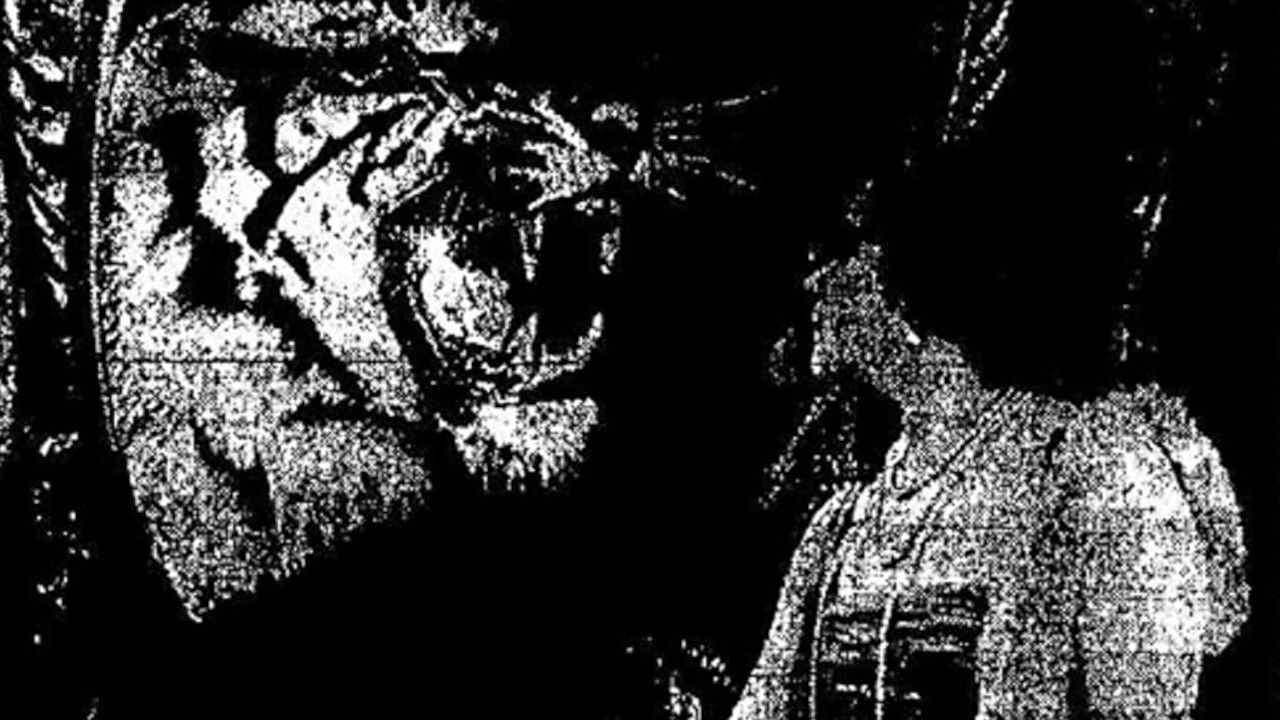 Backdrop for The Tiger Woman