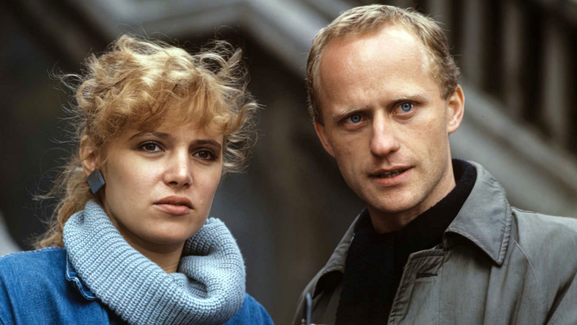 Backdrop for Angel in the Wardrobe