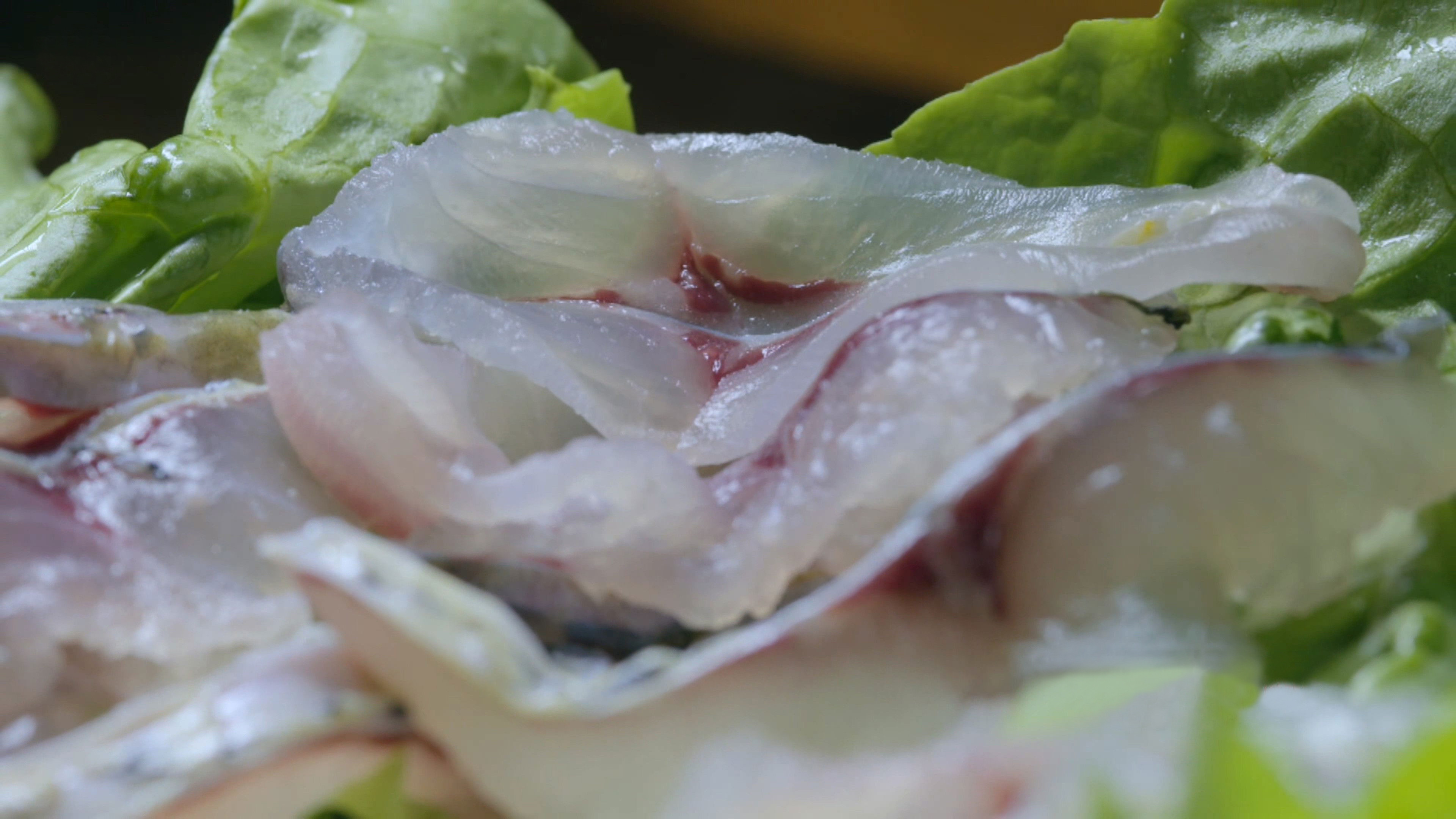 Backdrop for 寻味顺德