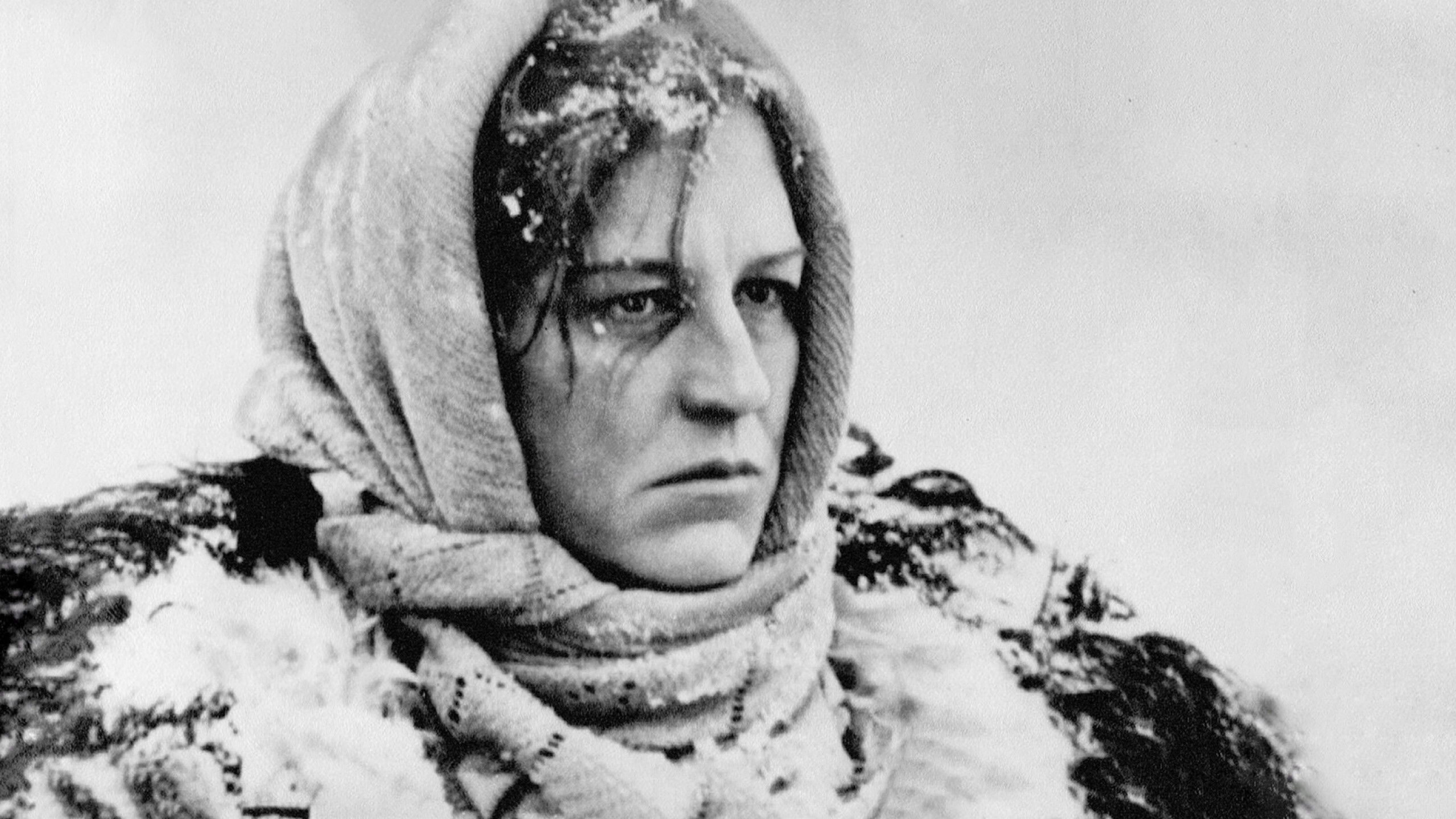 Backdrop for The Mire