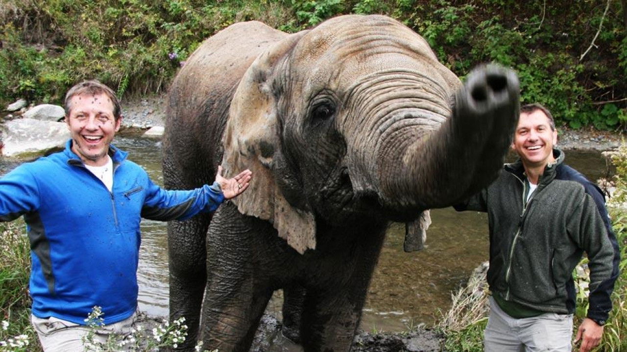 Backdrop for Kratts' Creatures