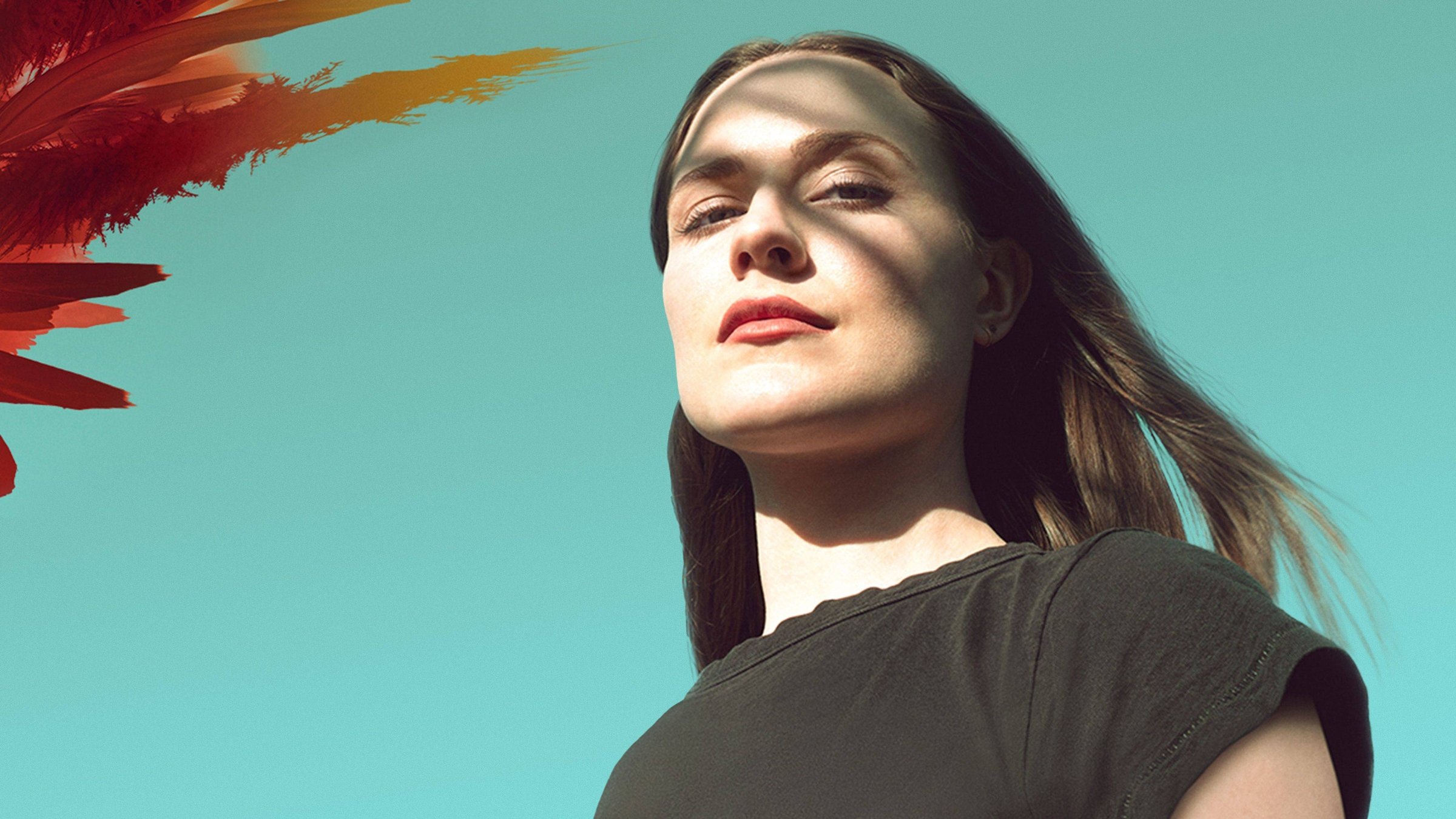 Backdrop for Phoenix Rising