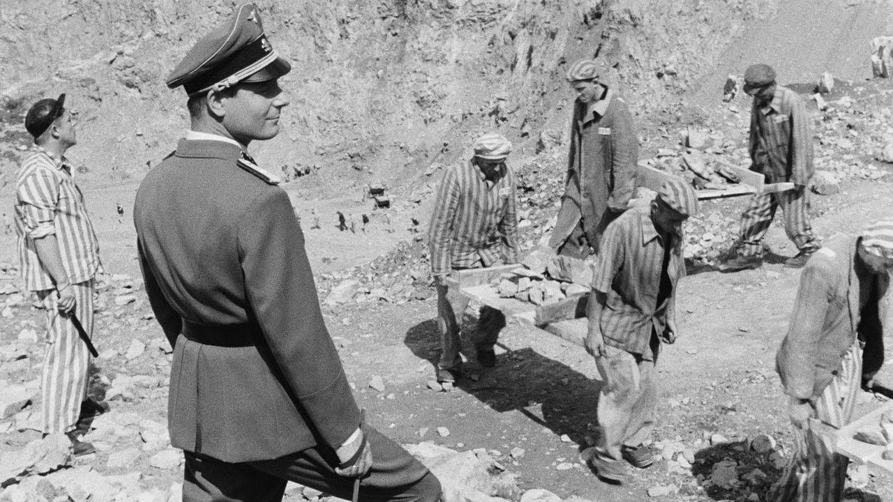 Backdrop for Enclosure