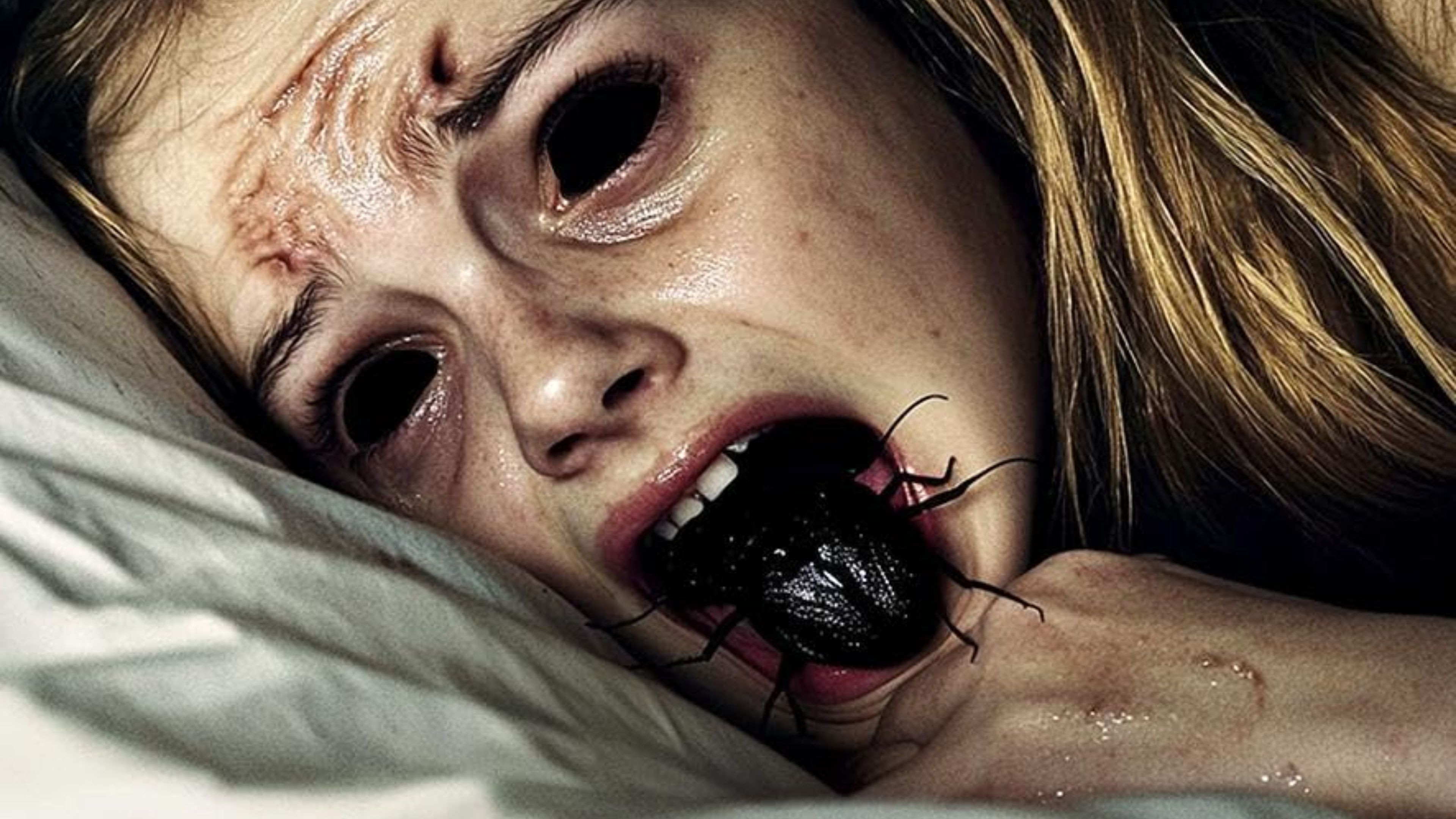 Backdrop for The Containment