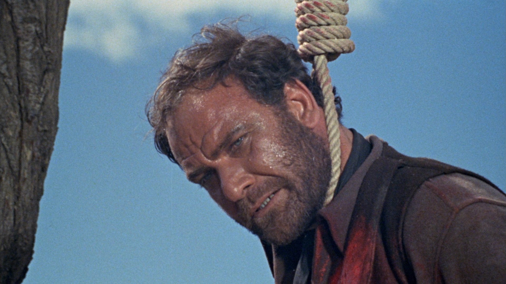 Backdrop for Cemetery Without Crosses