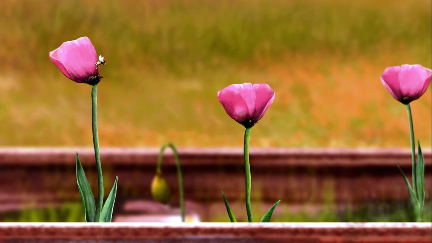 Backdrop for Living a Different Life