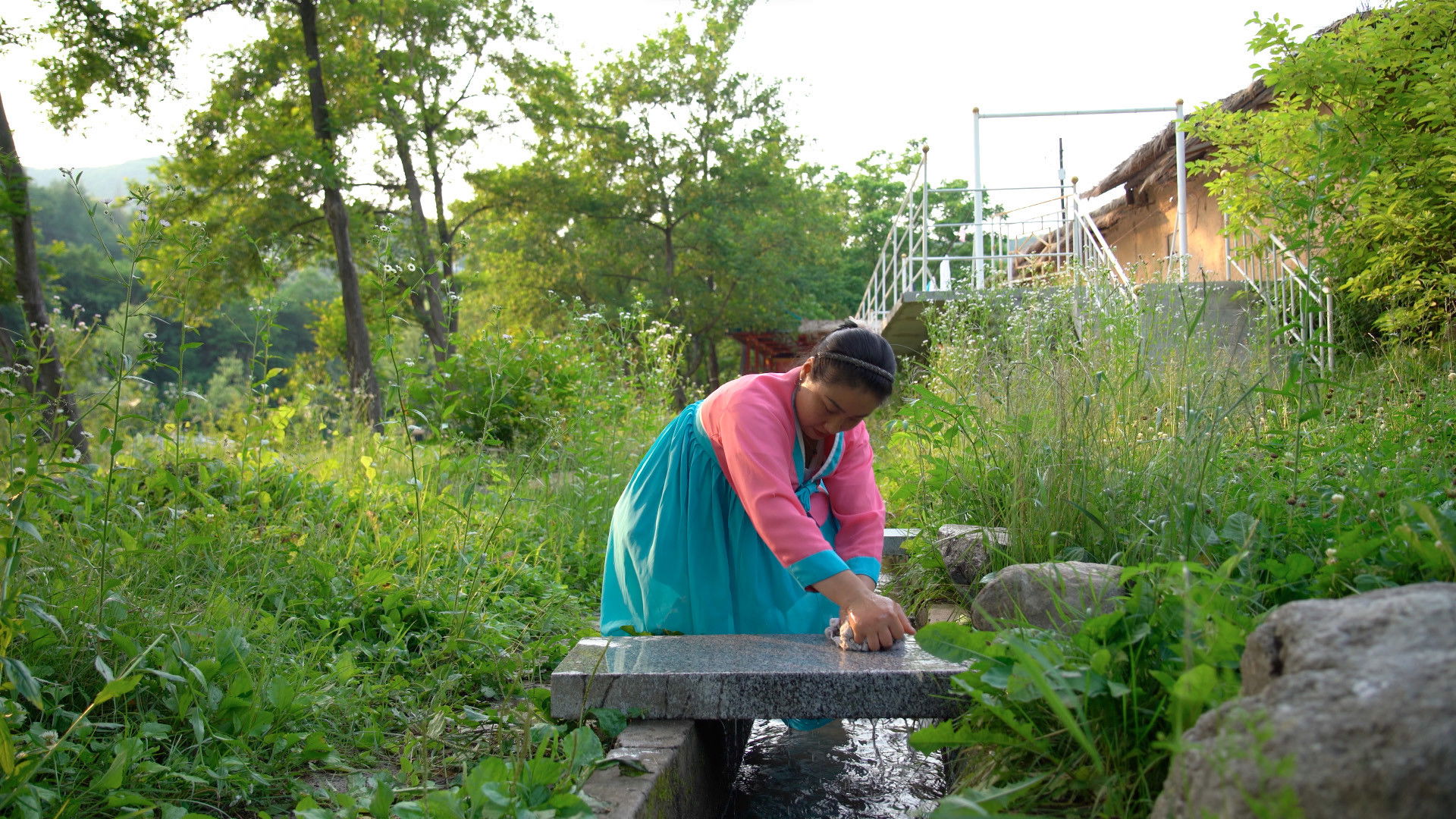 Backdrop for Anamnese