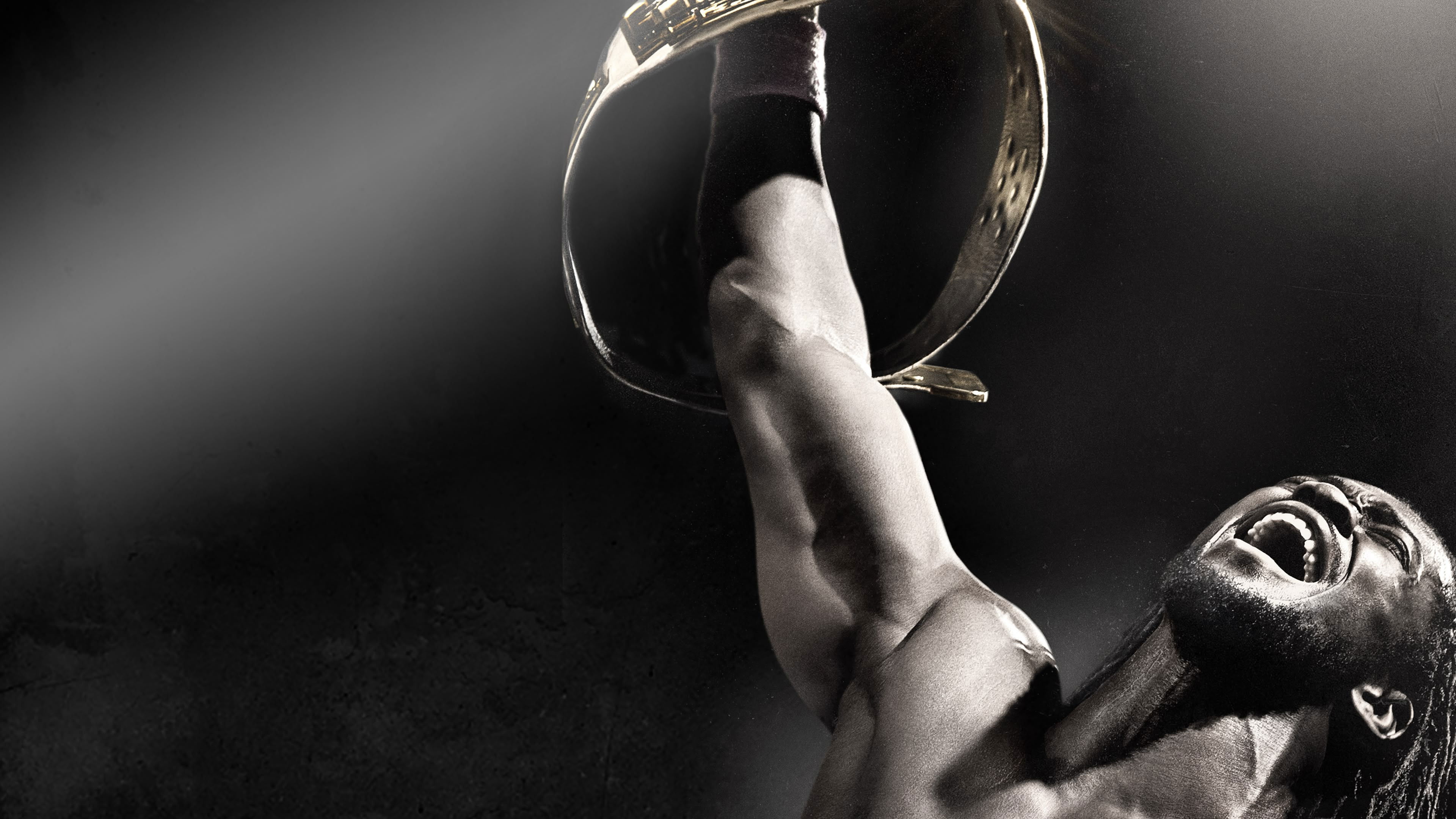 Backdrop for WWE Night of Champions 2013