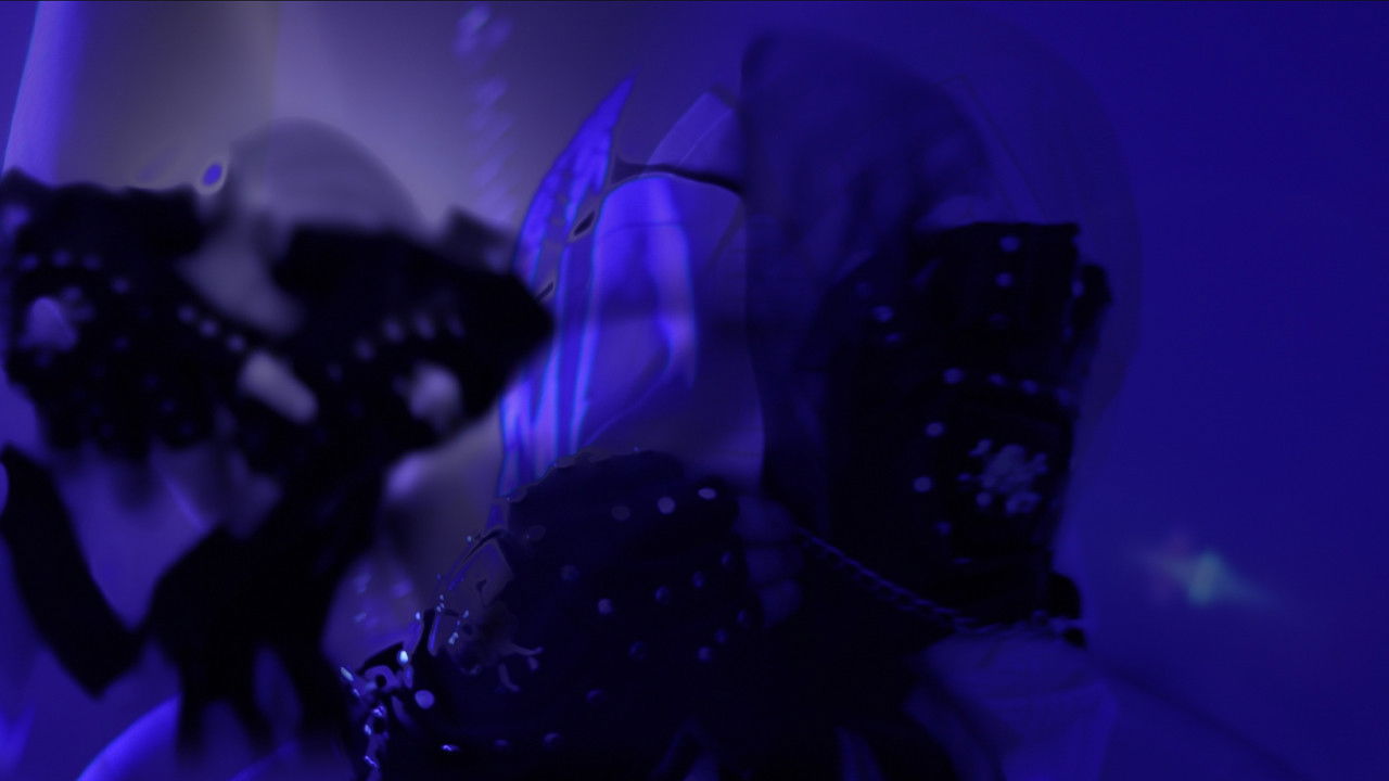 Backdrop for A Message For Nobody