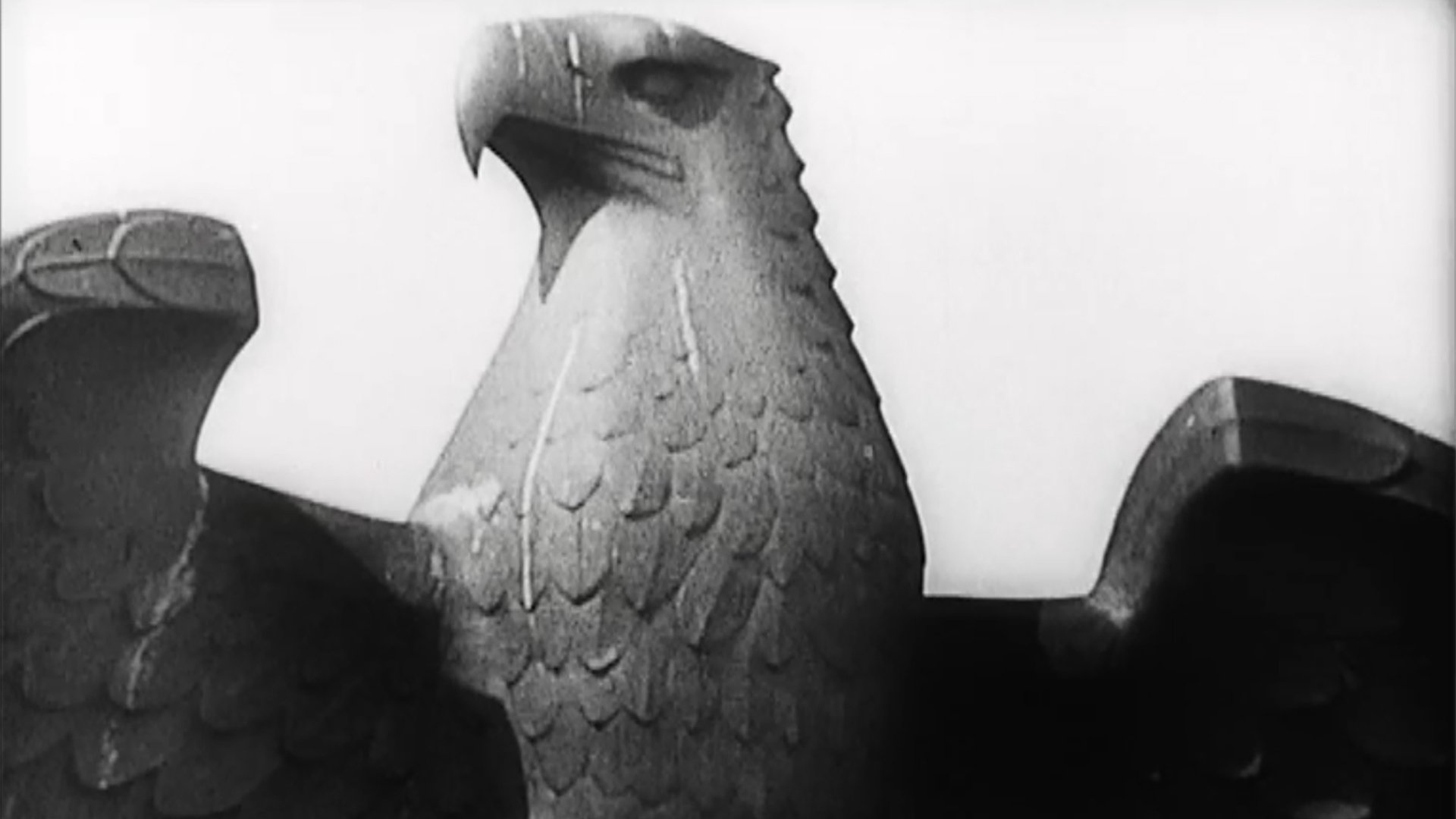 Backdrop for In the Land of Eagles and Crosses