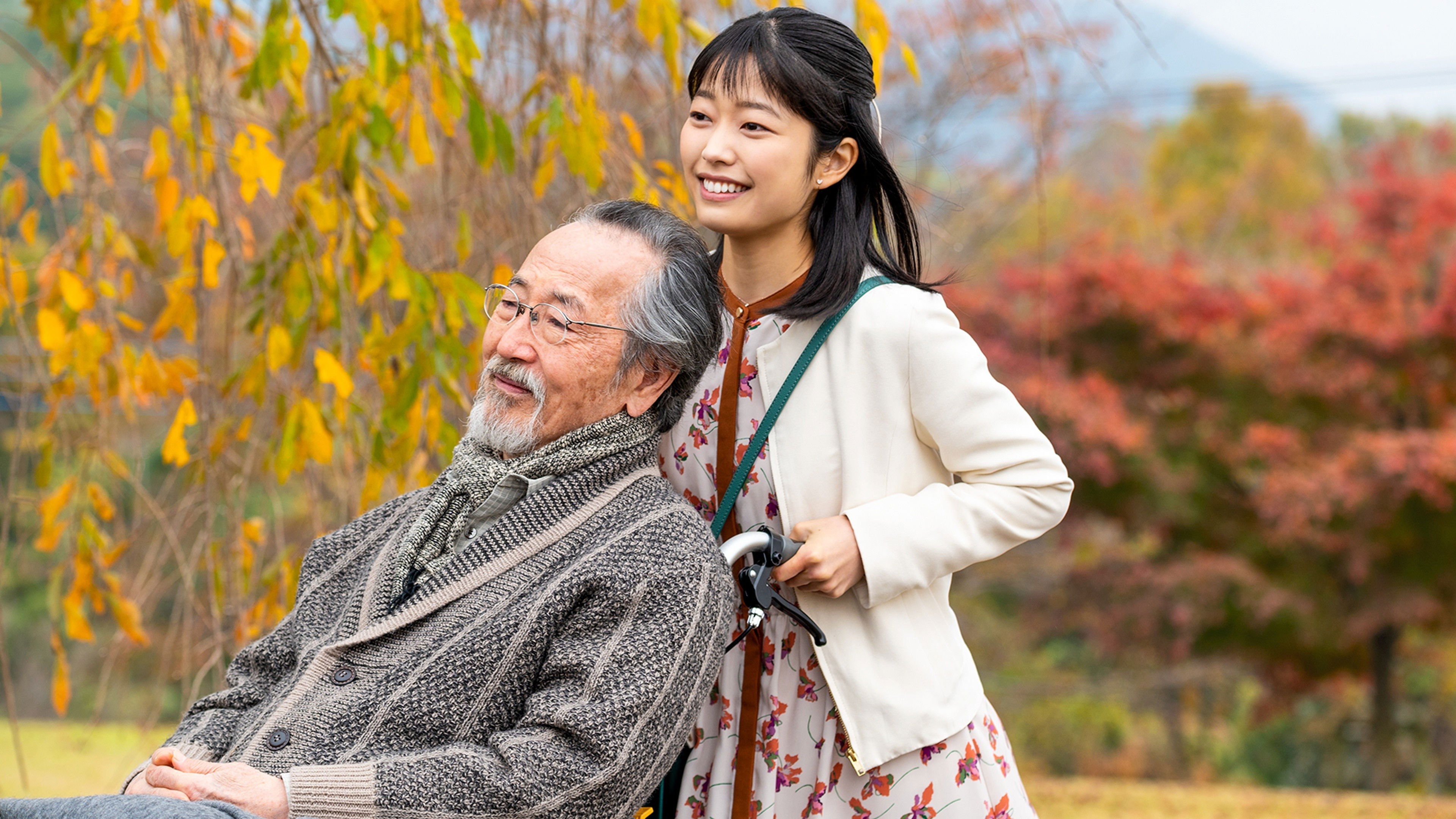 Backdrop for Before the Sunset