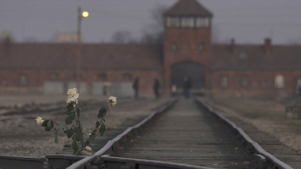 Backdrop for Inferno: Letters from Auschwitz