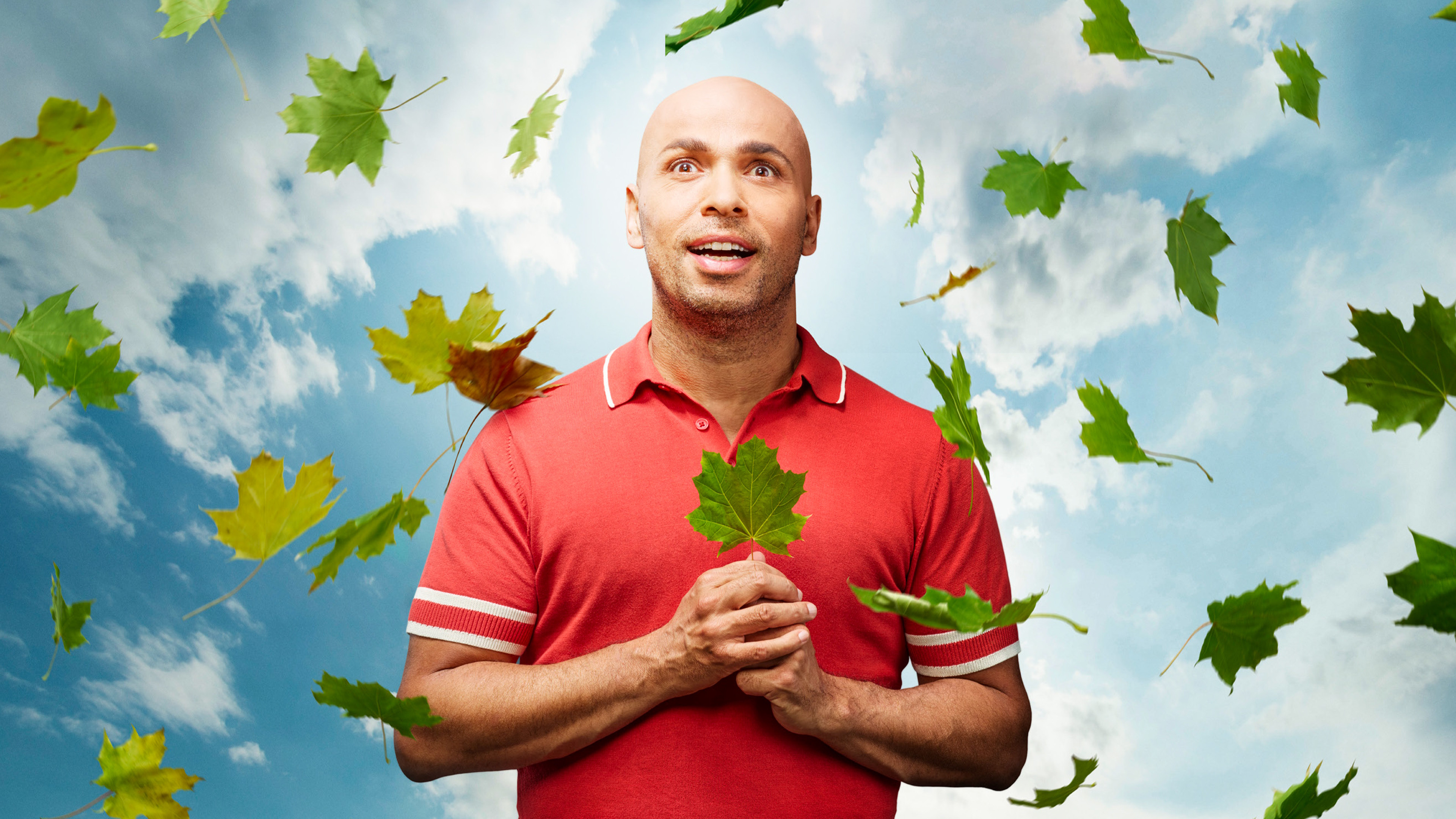 Backdrop for Platane