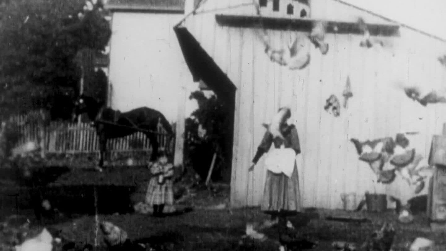 Backdrop for Feeding the Doves