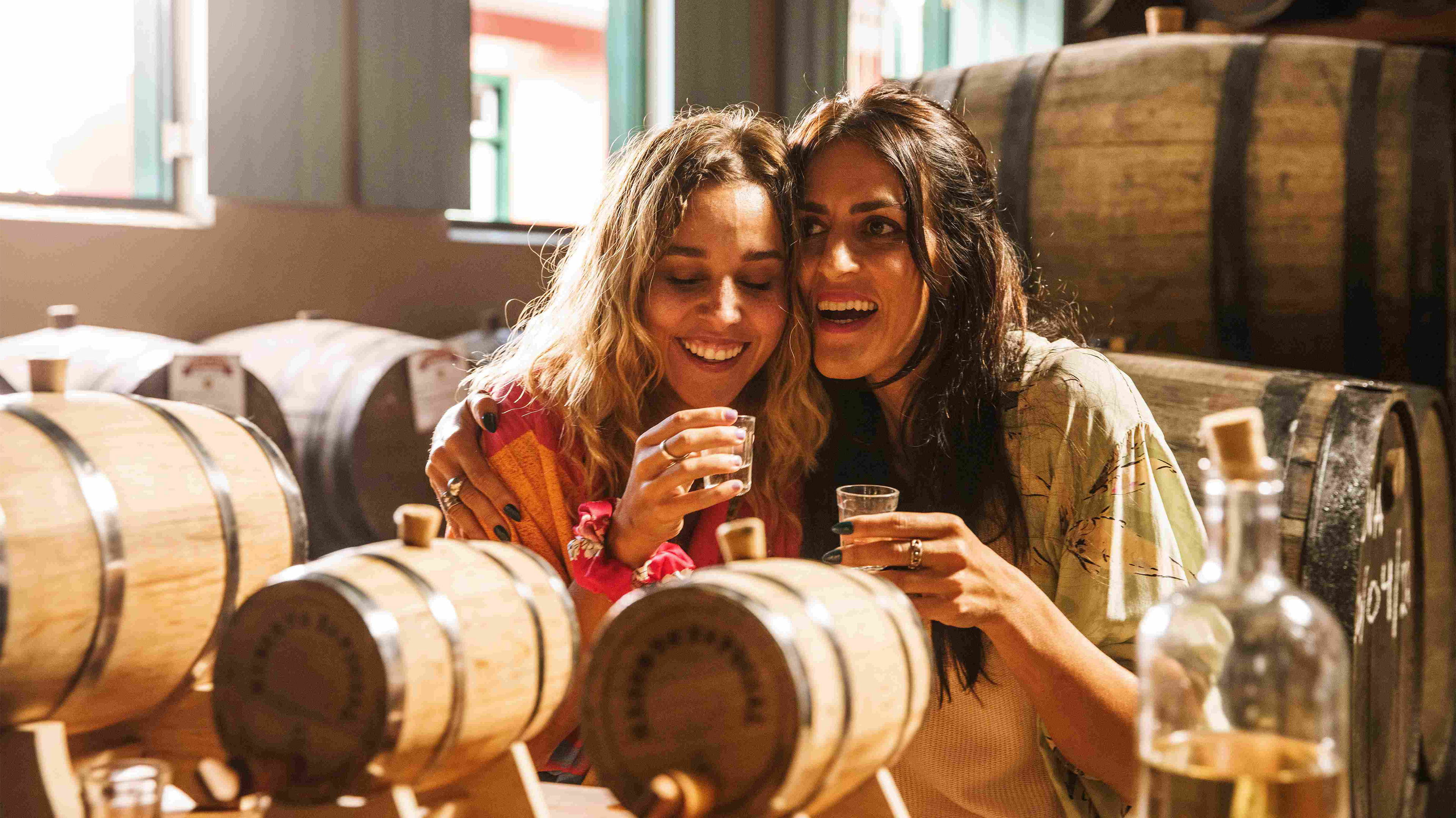 Backdrop for Saideira