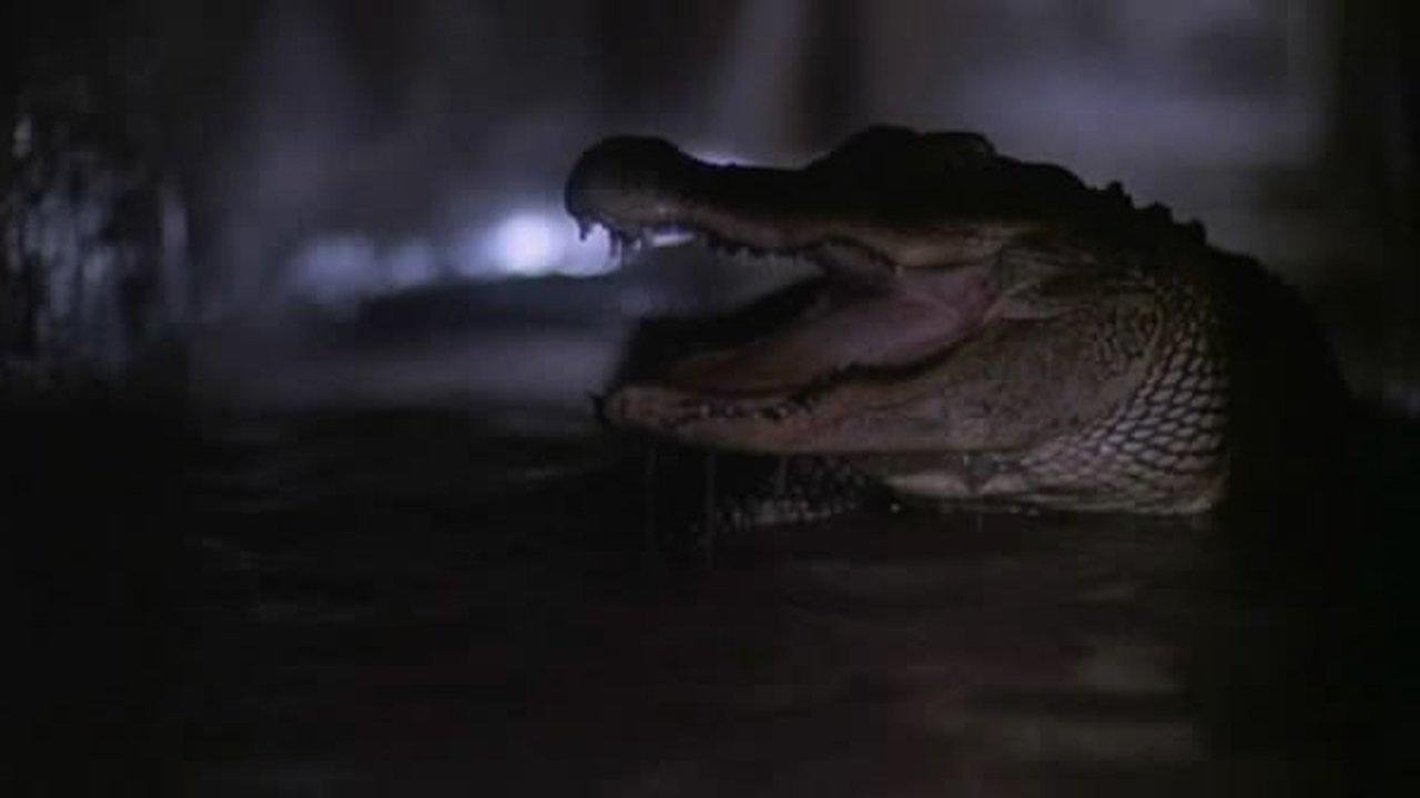Backdrop for Alligator 2: The Mutation