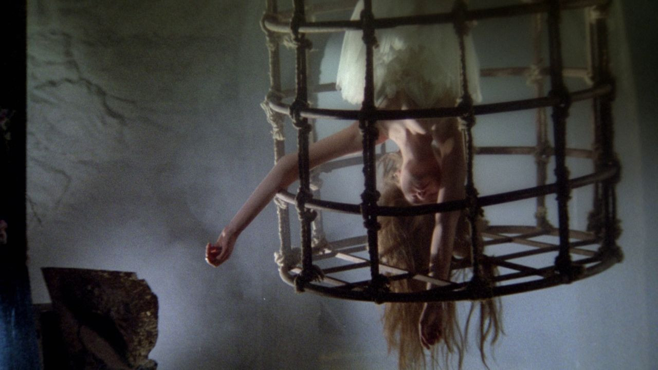 Backdrop for AntiFaust