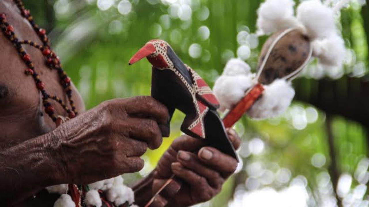 Backdrop for Kayka Aramtem: Saber e tradição de um sábio arukwayane