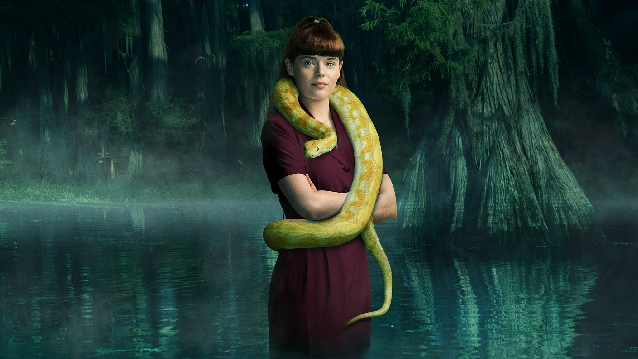 Backdrop for V.C. Andrews' Hidden Jewel