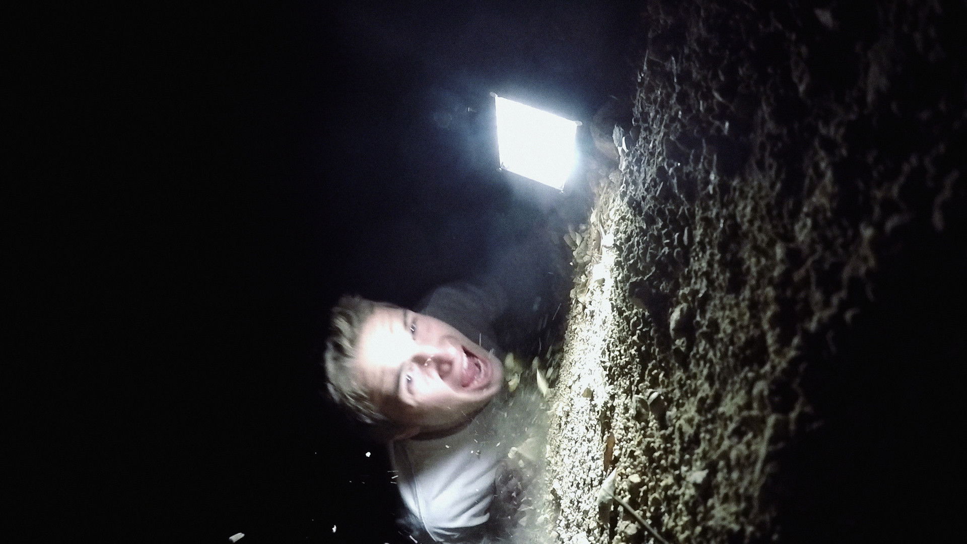 Backdrop for The Butchers of Daley Ranch