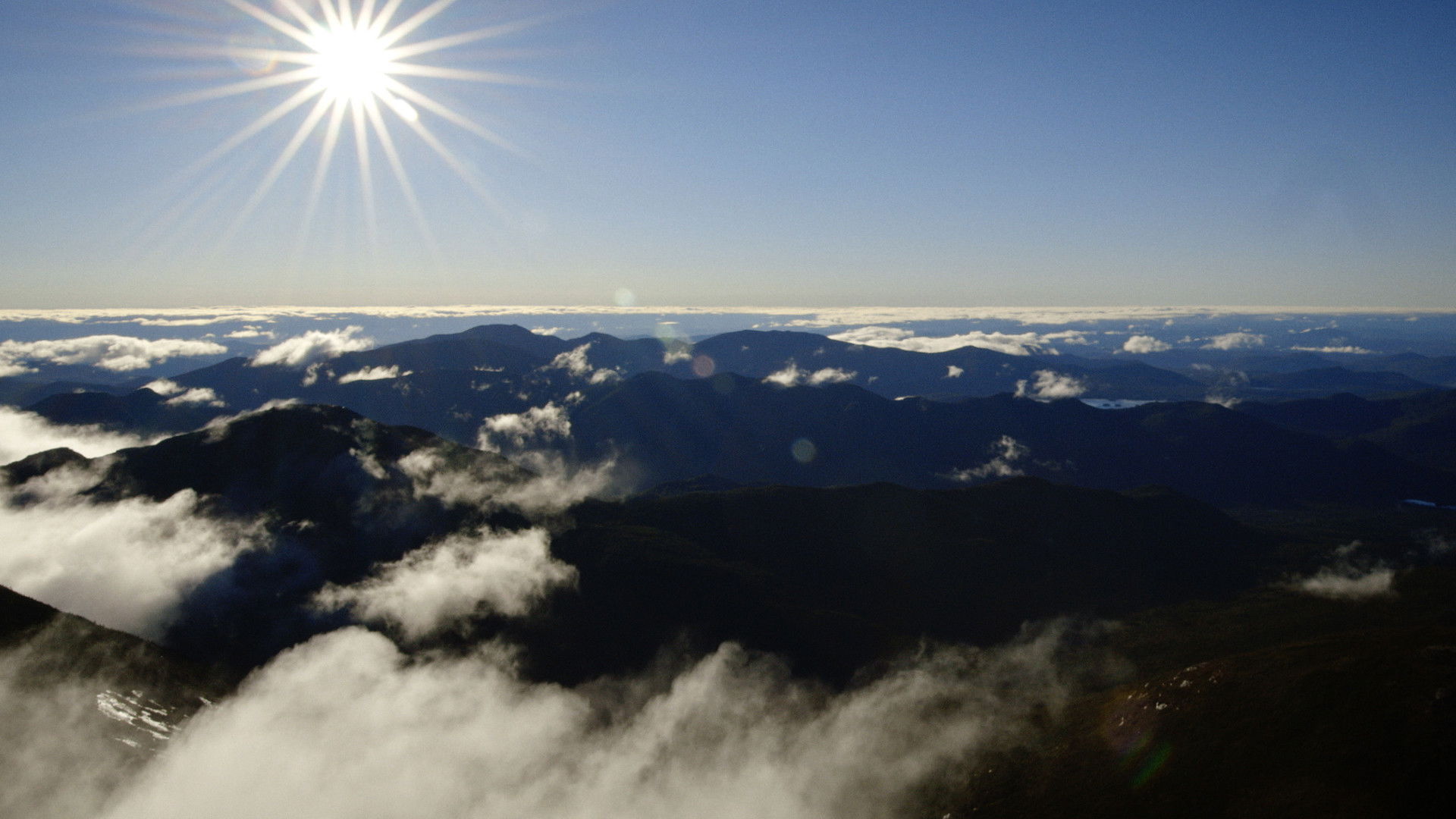 Backdrop for The 46ers