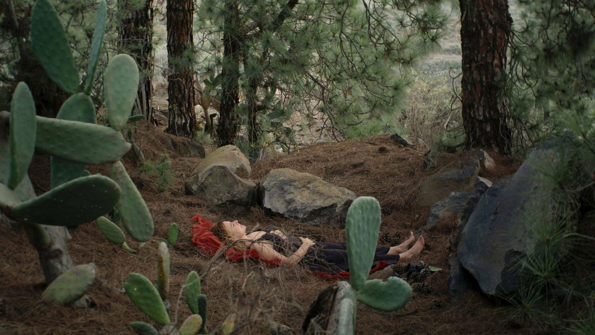 Backdrop for Las cosas queridas