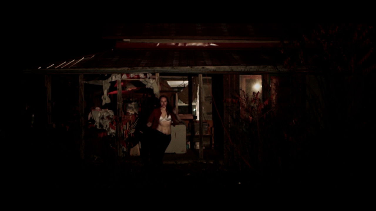 Backdrop for Horror and Hamsters