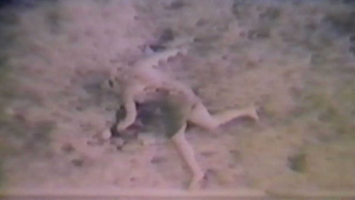 Backdrop for The Diane Linkletter Story