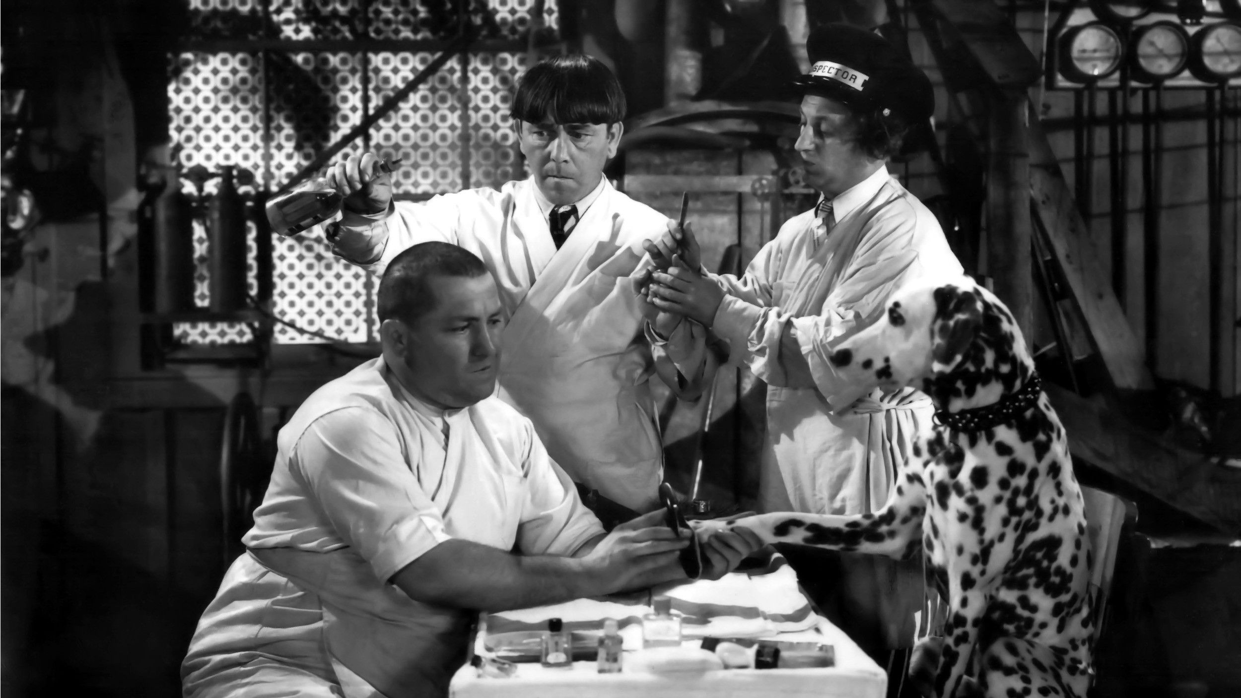 Backdrop for Mutts to You