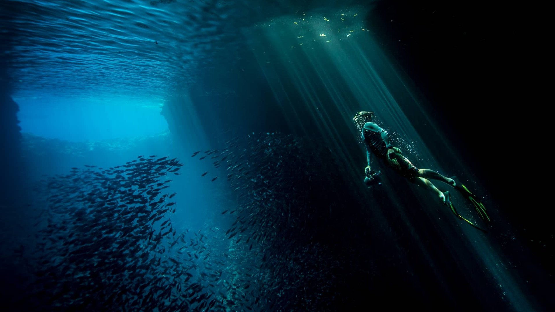 Backdrop for Tales by Light