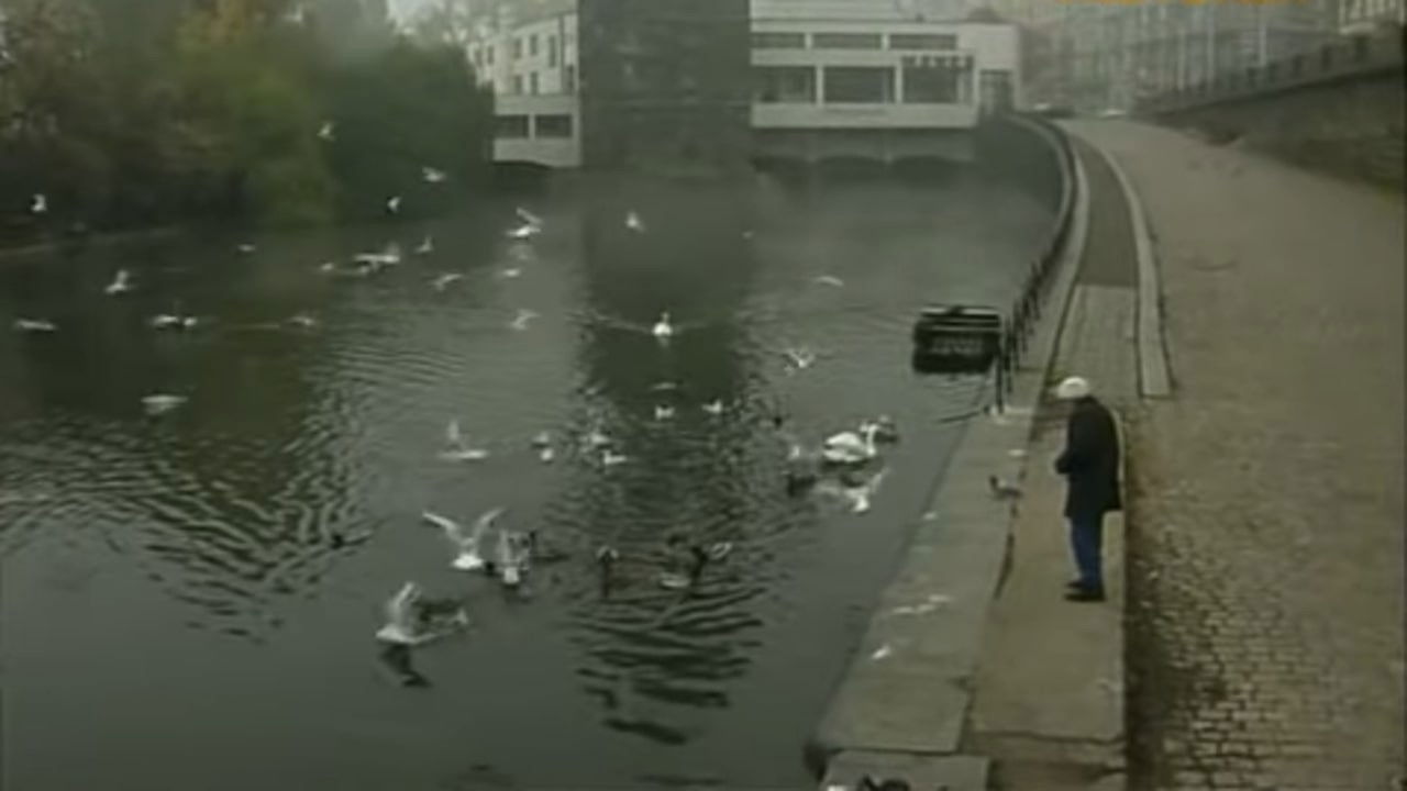 Backdrop for Dr. Hrabal