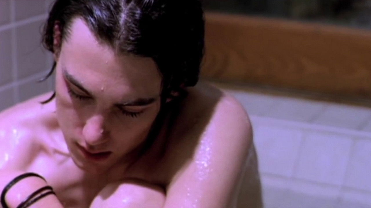 Backdrop for Into the Night