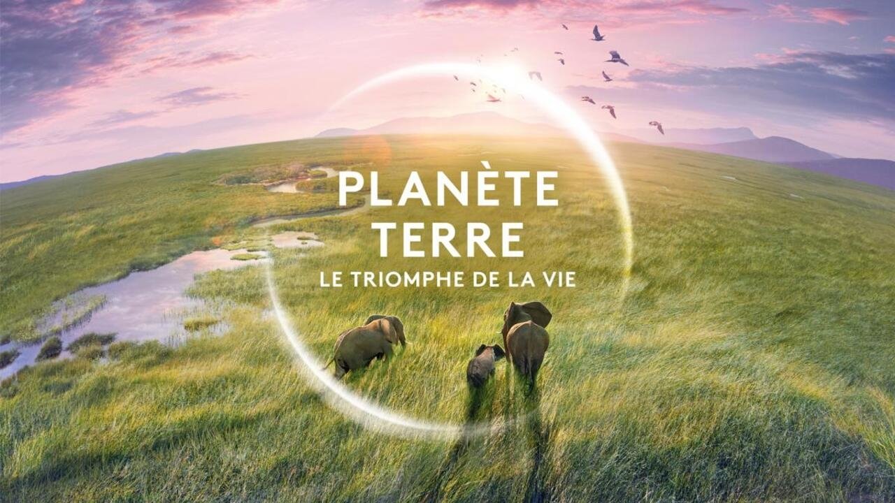 Backdrop for Planète Terre, le triomphe de la vie