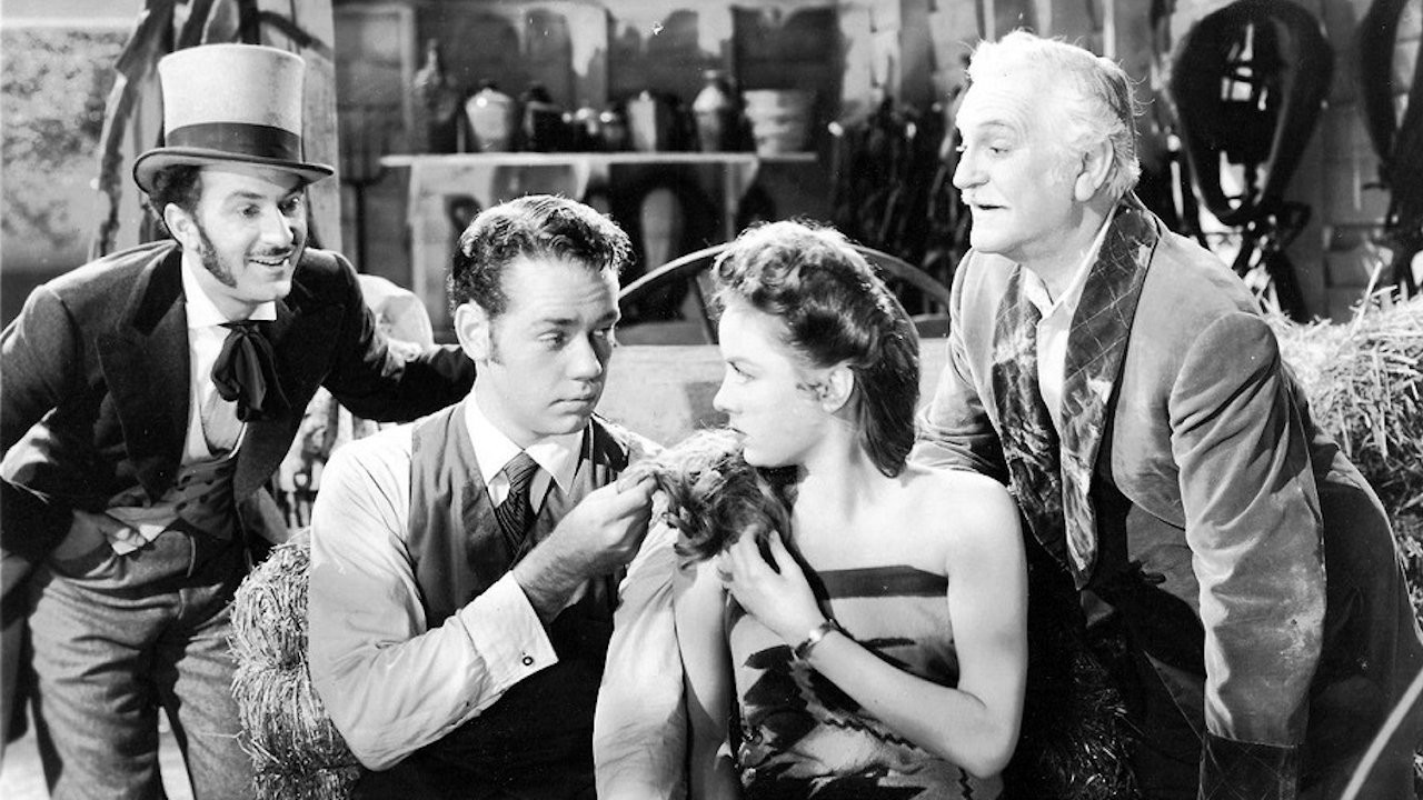 Backdrop for The Cockeyed Miracle