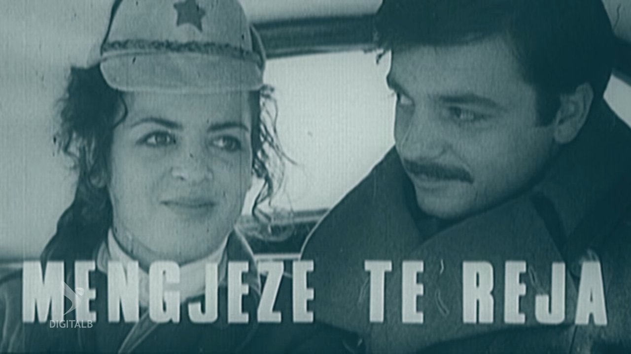 Backdrop for New Mornings