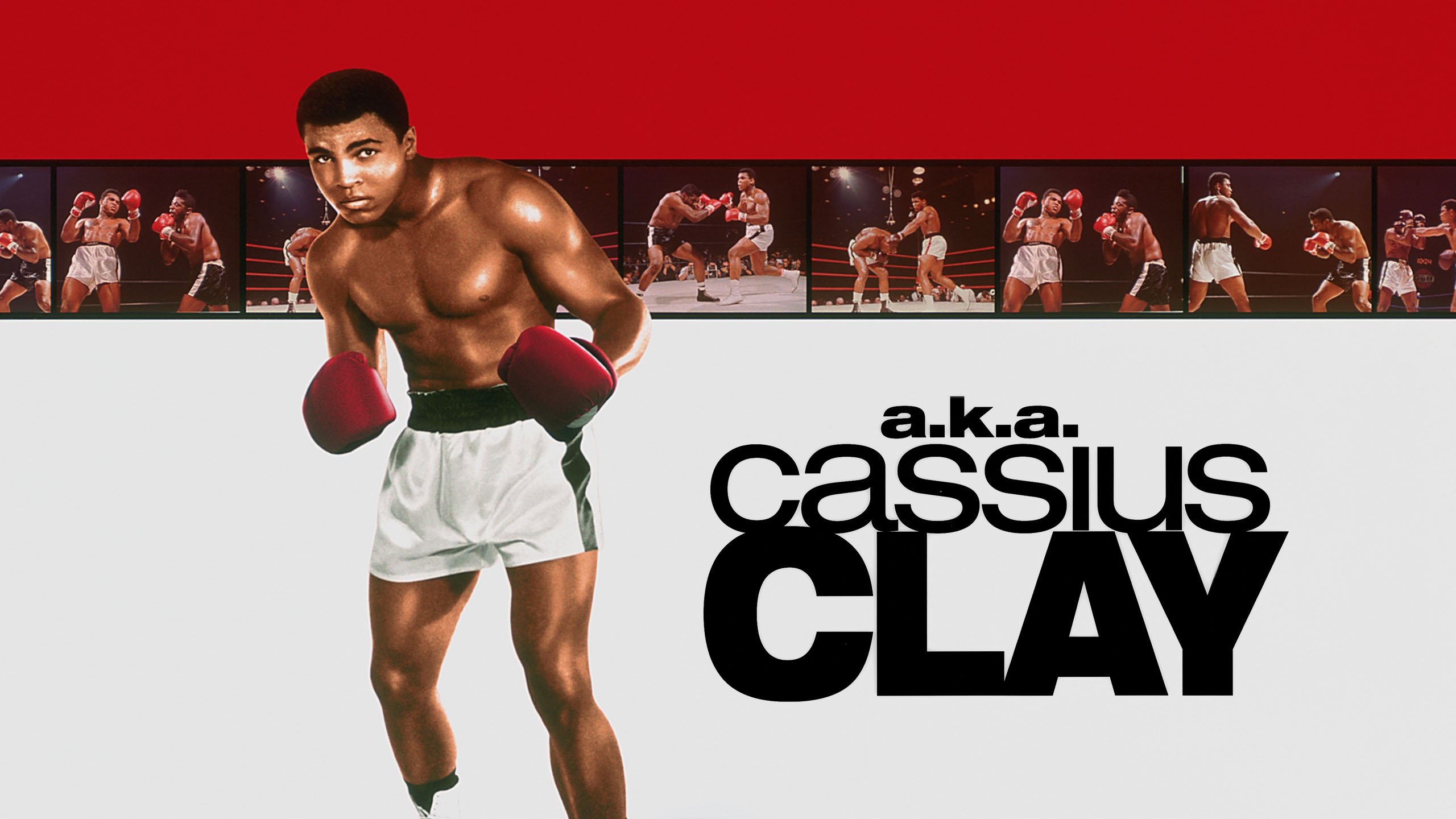 Backdrop for a.k.a. Cassius Clay